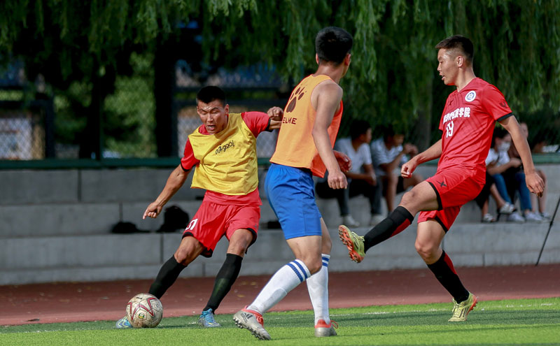 圣埃蒂安主帅：哈兰德将对阵姆巴佩在挪威几乎是全民话题（圣埃蒂安主帅：哈兰德与姆巴佩的对决在挪威掀起全民热议）